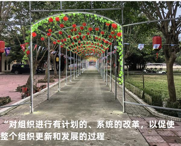 “对组织进行有计划的、系统的改革，以促使整个组织更新和发展的过程