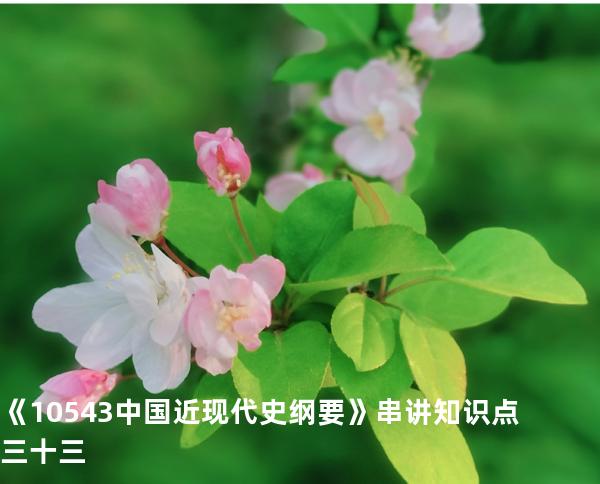 《10543中国近现代史纲要》串讲知识点三十三