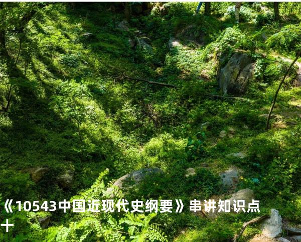 《10543中国近现代史纲要》串讲知识点 十