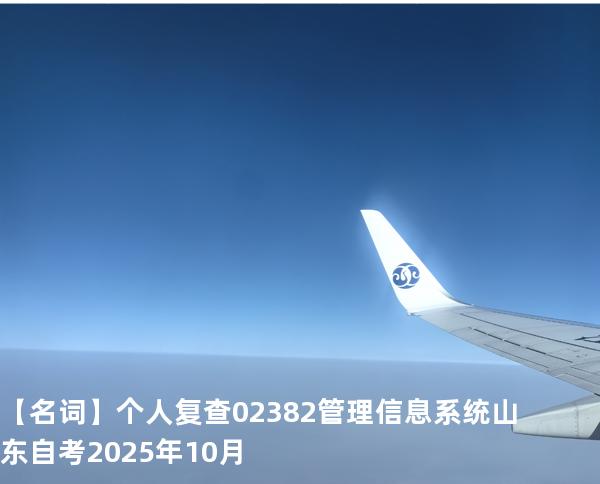 【名词】个人复查  02382管理信息系统  山东自考2025年10月