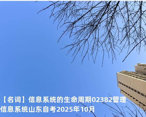 【名词】信息系统的生命周期  02382管理信息系统  山东自考2025年10月