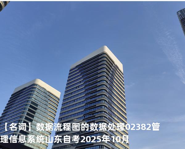 【名词】数据流程图的数据处理 02382管理信息系统  山东自考2025年10月