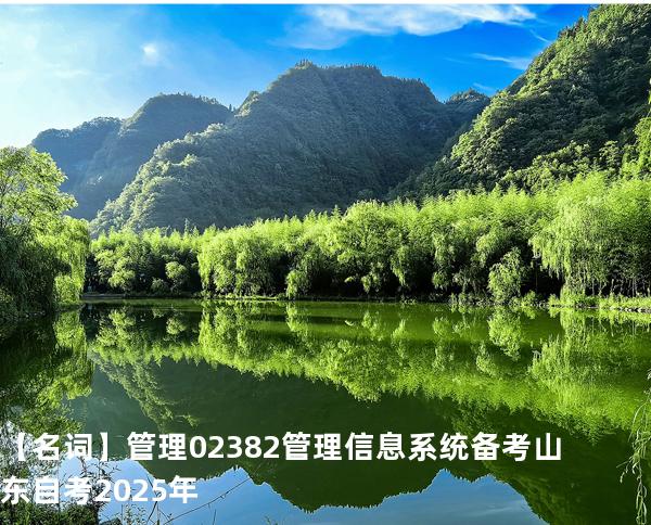 【名词】管理 :02382管理信息系统备考山东自考2025年