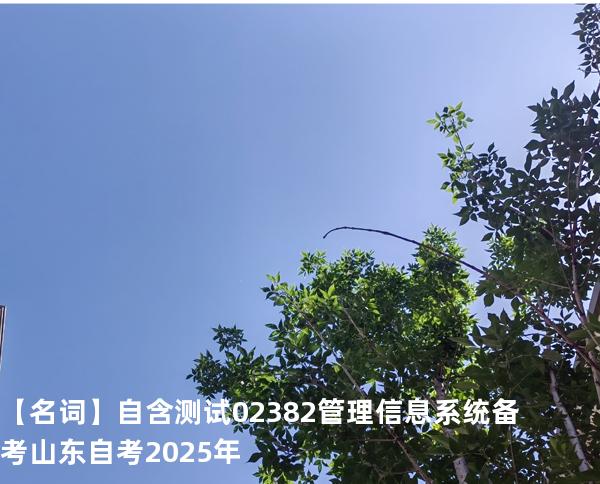 【名词】自含测试:02382管理信息系统备考山东自考2025年
