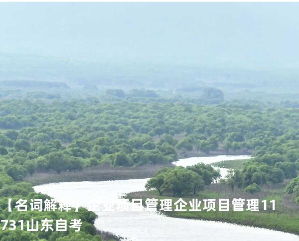 【名词解释】 企业项目管理 企业项目管理 11731 山东自考