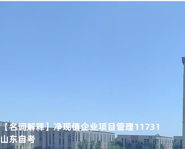 【名词解释】净现值  企业项目管理 11731 山东自考