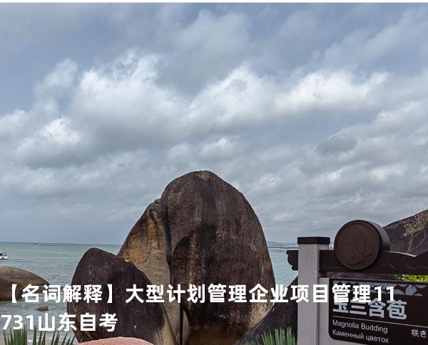 【名词解释】大型计划管理 企业项目管理 11731 山东自考