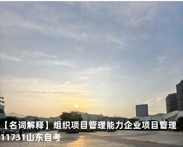 【名词解释】组织项目管理能力 企业项目管理 11731 山东自考