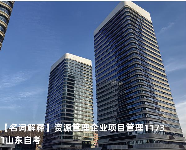 【名词解释】资源管理  企业项目管理 11731 山东自考