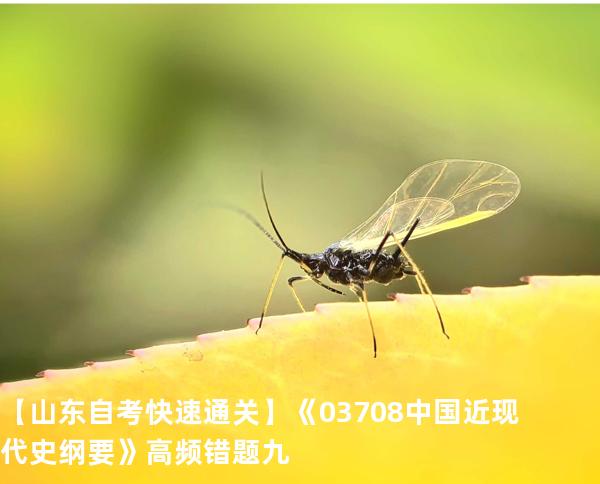   【山东自考快速通关】《03708中国近现代史纲要》高频错题 九