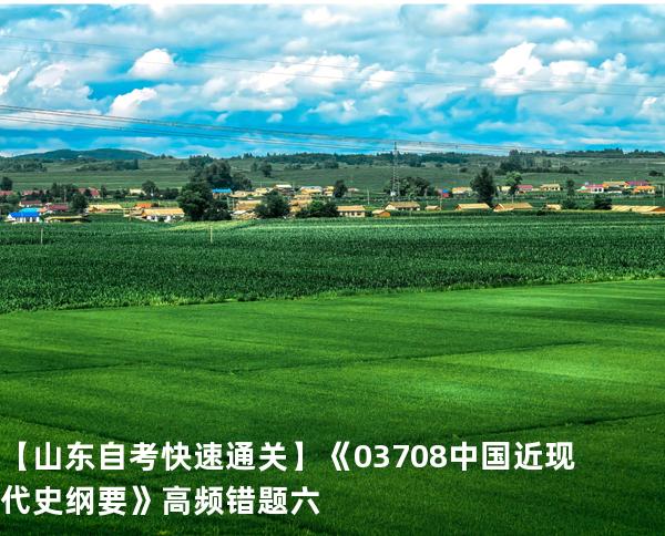   【山东自考快速通关】《03708中国近现代史纲要》高频错题 六