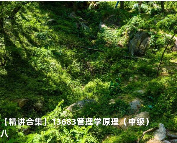  【精讲合集】13683 管理学原理（中级）八