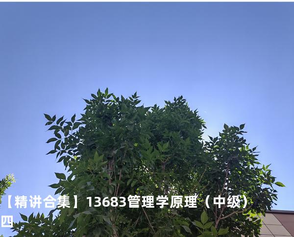  【精讲合集】13683 管理学原理（中级） 四