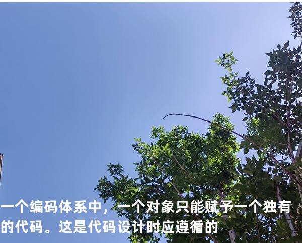 一个编码体系中，一个对象只能赋予一个独有的代码。这是代码设计时应遵循的