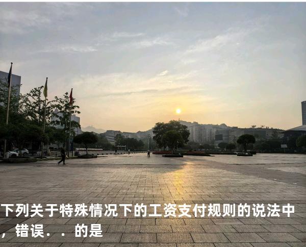 下列关于特殊情况下的工资支付规则的说法中，错误．．的是