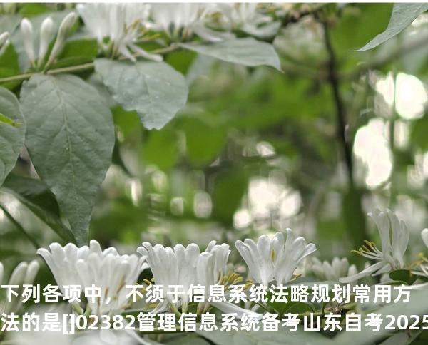 下列各项中，不须于信息系统法略规划常用方法的是[]02382管理信息系统备考山东自考2025年