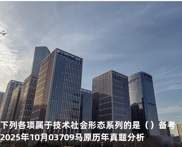 下列各项属于技术社会形态系列的是（ ）备考2025年10月 03709马原   历年真题分析