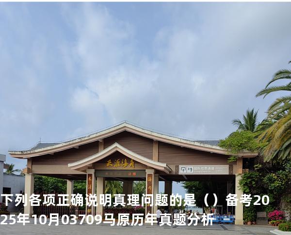 下列各项正确说明真理问题的是（ ）备考2025年10月 03709马原   历年真题分析
