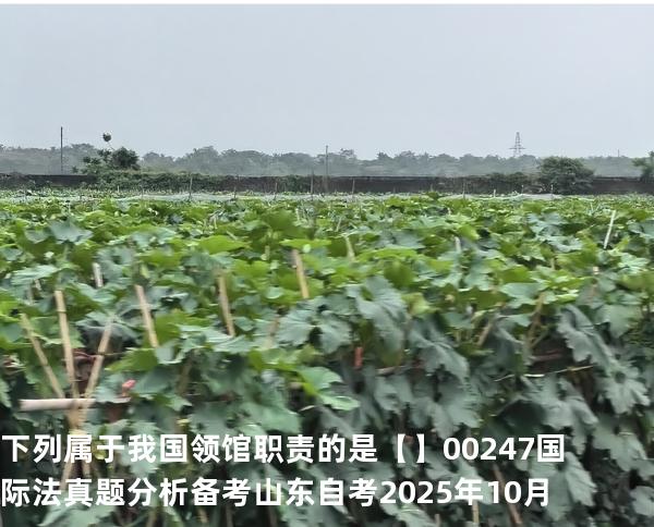 下列属于我国领馆职责的是【】00247 国际法 真题分析 备考山东自考2025年10月