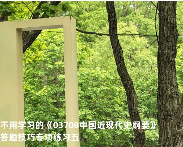 不用学习的《03708中国近现代史纲要》答题技巧专项练习五