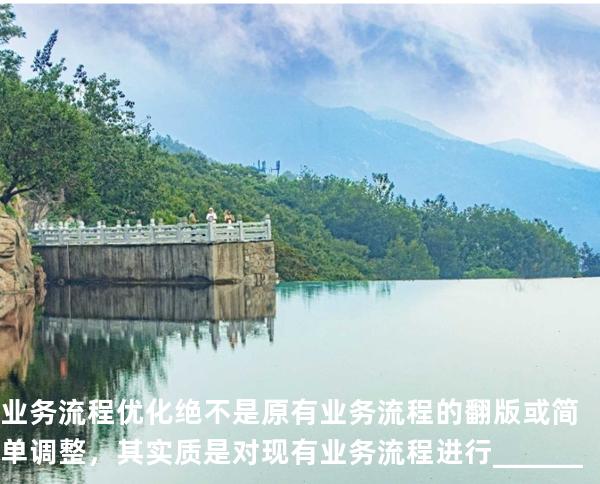 业务流程优化绝不是原有业务流程的翻版或简单调整，其实质是对现有业务流程进行______