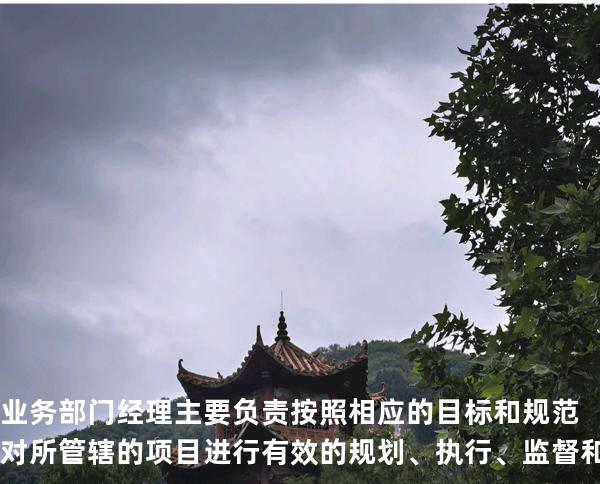 业务部门经理主要负责按照相应的目标和规范对所管辖的项目进行有效的规划、执行、监督和交付