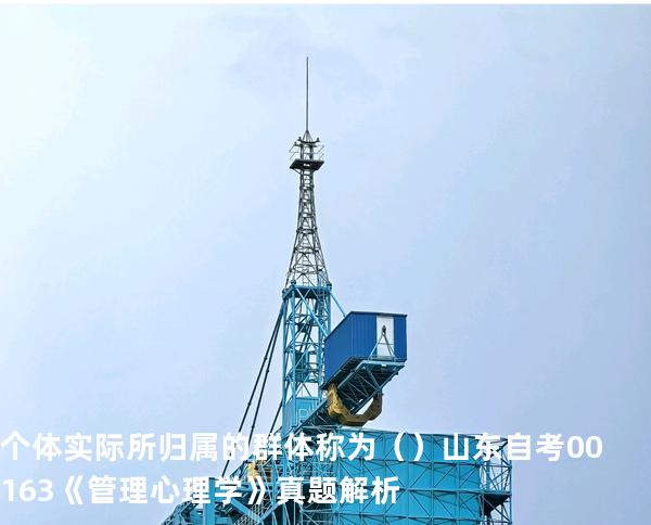 个体实际所归属的群体称为（ ）  山东自考00163《管理心理学》真题解析