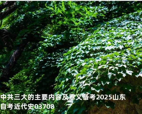 中共三大的主要内容及意义 备考2025山东自考 近代史 03708