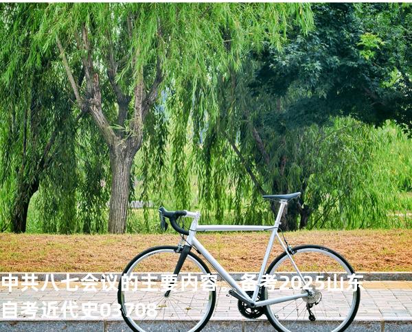 中共八七会议的主要内容。 备考2025山东自考 近代史 03708