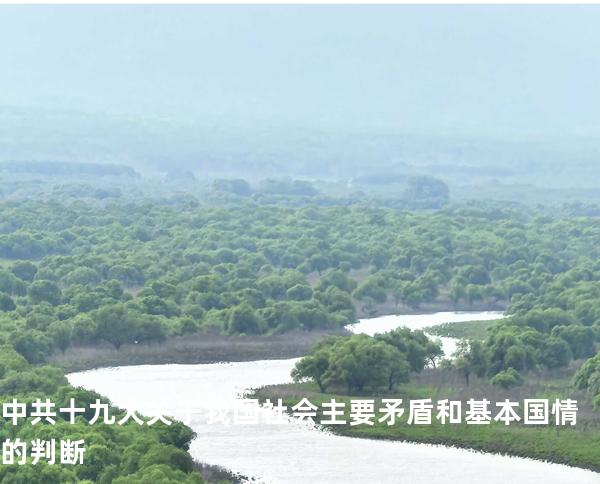 中共十九大关于我国社会主要矛盾和基本国情的判断