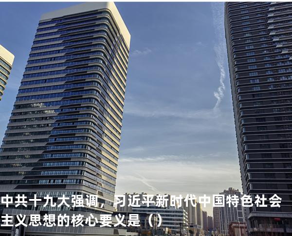 中共十九大强调，习近平新时代中国特色社会主义思想的核心要义是（ ）