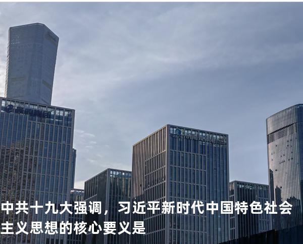 中共十九大强调，习近平新时代中国特色社会主义思想的核心要义是