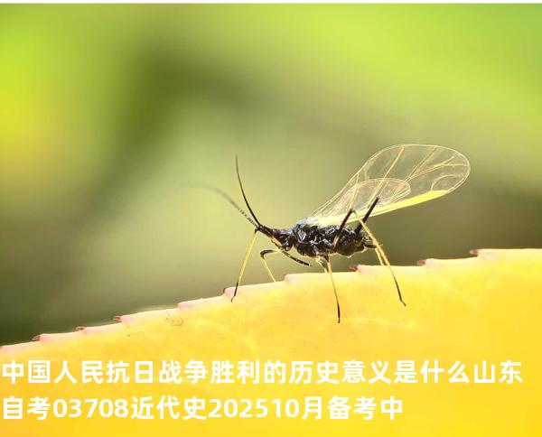 中国人民抗日战争胜利的历史意义是什么?山东自考03708近代史 202510月备考中