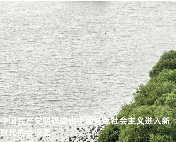 中国共产党明确提出中国特色社会主义进入新时代的会议是
