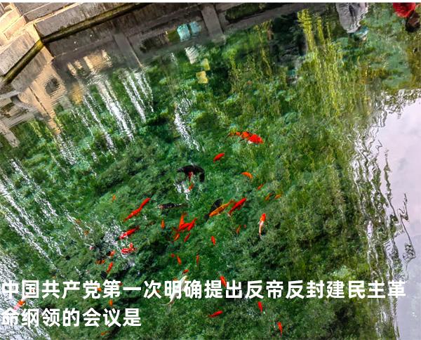 中国共产党第一次明确提出反帝反封建民主革命纲领的会议是