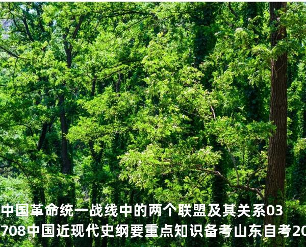 中国革命统一战线中的两个联盟及其关系03708 中国近现代史纲要重点知识   备考山东自考 2025年10月