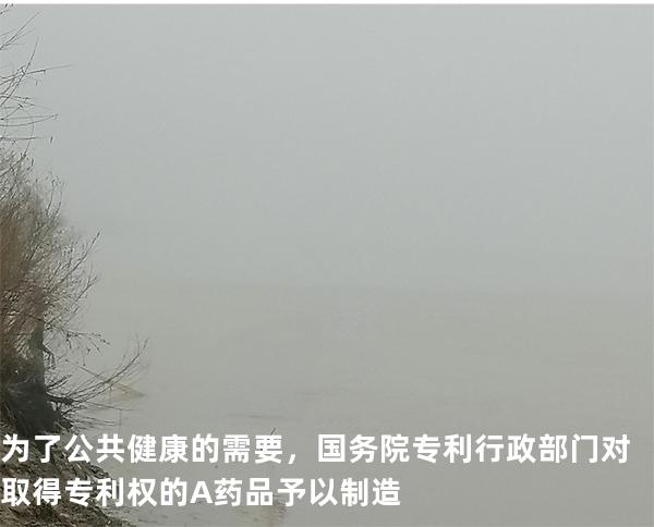 为了公共健康的需要，国务院专利行政部门对取得专利权的 A 药品予以制造