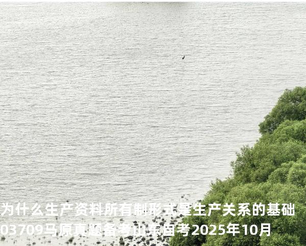 为什么生产资料所有制形式是生产关系的基础 03709 马原真题 备考山东自考2025年10月