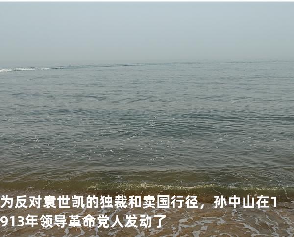 为反对袁世凯的独裁和卖国行径，孙中山在1913年领导革命党人发动了