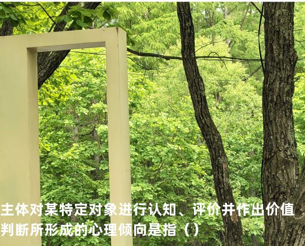 主体对某特定对象进行认知、评价并作出价值判断所形成的心理倾向是指 （ ）