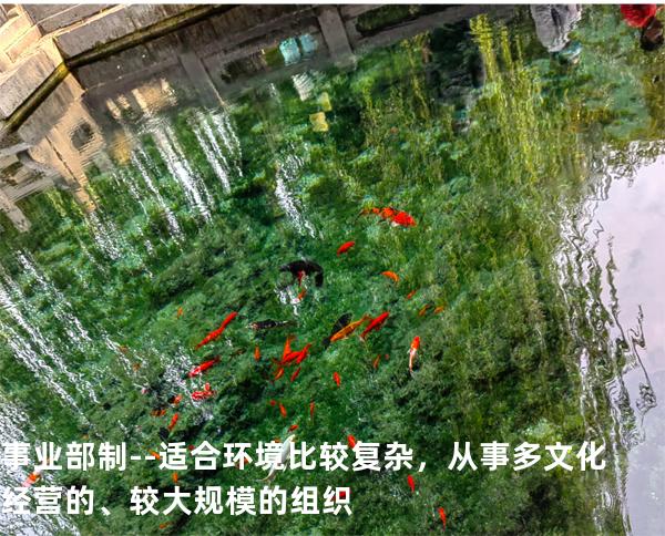 事业部制-- 适合环境比较复杂，从事多文化经营的、较大 规模的组织