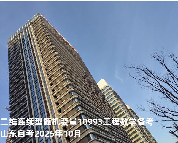 二维连续型随机变量10993工程数学 备考山东自考2025年10月