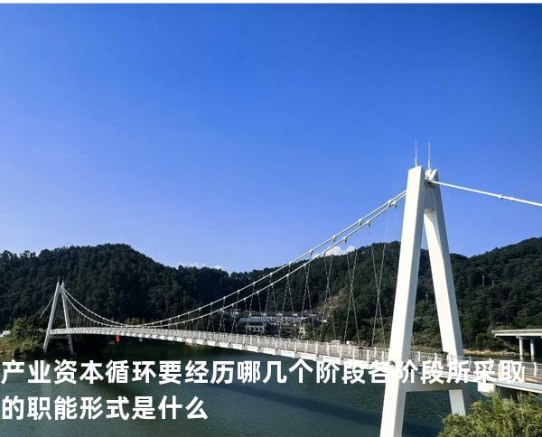 产业资本循环要经历哪几个阶段?各阶段所采取的职能形式是什么?