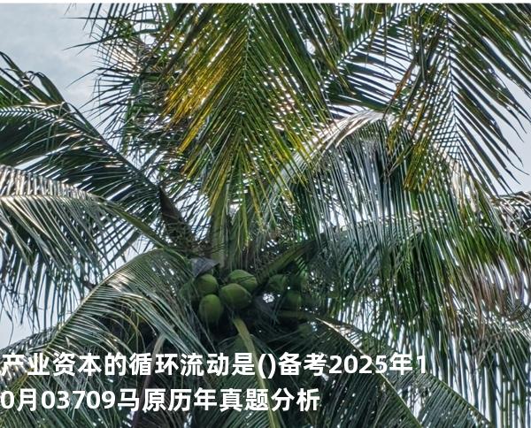 产业资本的循环流动是( )备考2025年10月 03709马原   历年真题分析