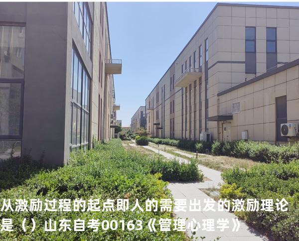 从激励过程的起点即人的需要出发的激励理论是（ ）  山东自考00163《管理心理学》