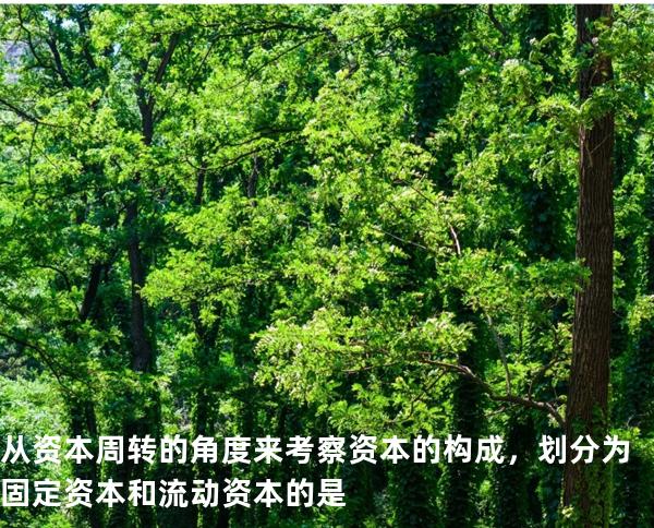 从资本周转的角度来考察资本的构成，划分为固定资本和流动资本的是