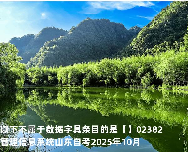 以下不属于数据字具条目的是【】02382管理信息系统  山东自考2025年10月