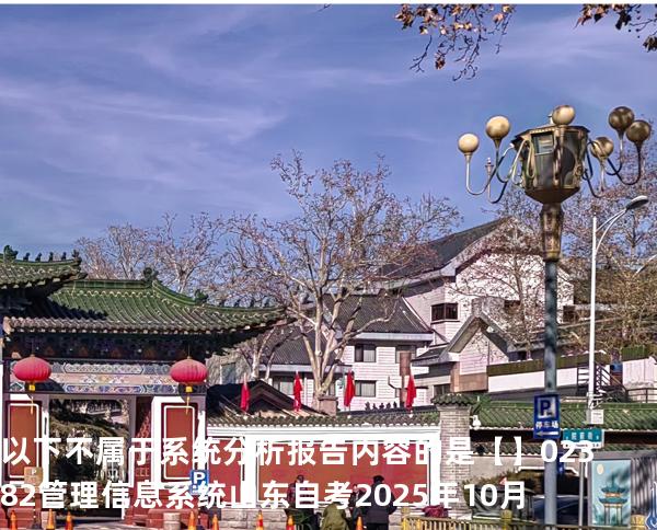 以下不属于系统分析报告内容的是【】02382管理信息系统  山东自考2025年10月