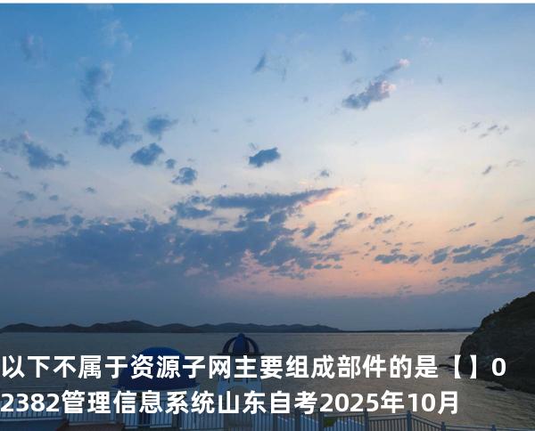 以下不属于资源子网主要组成部件的是【】02382管理信息系统  山东自考2025年10月