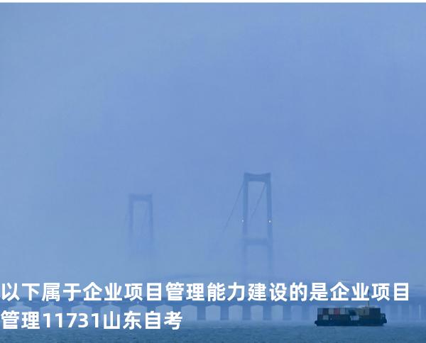 以下属于企业项目管理能力建设的是 企业项目管理 11731 山东自考